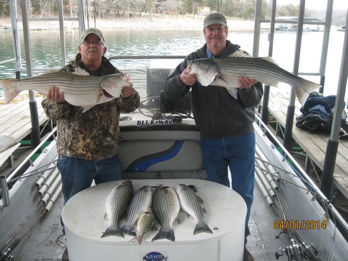 Nice Striped Bass